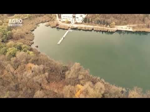 Ninsori la nord, lapoviță și ploi în centrul și sudul țării