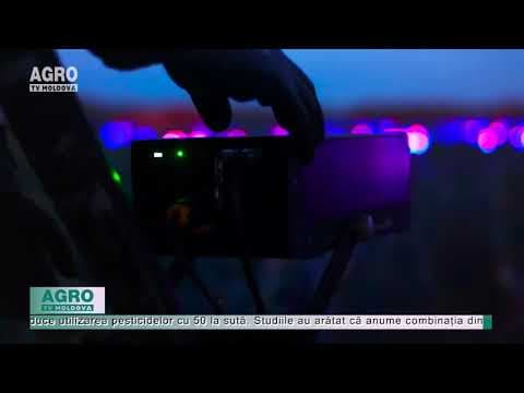 GROW: arta care evidențiază frumusețea agriculturii prin lumină