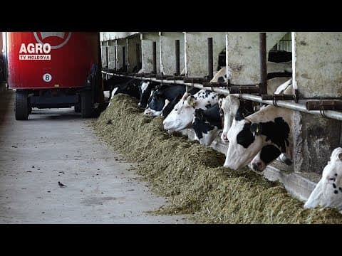 Baștina din 07.02.2021