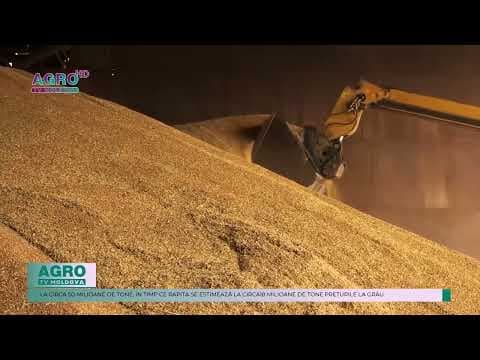 Prețurile cerealelor au crescut semnificativ în Europa