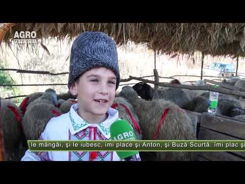 AGRO TV News - 11. 11. 2019
