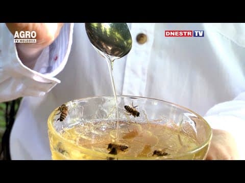 Cu pasiune pentru apicultură. Istoria maestrului albinar din Stânga Nistrului