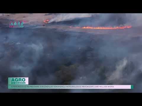 Cod galben de pericol de incendii