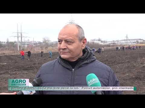 Tinerii învață să facă agricultură inteligentă