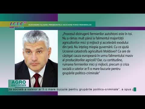 Autoritățile vor propune interzicerea importurilor de cereale