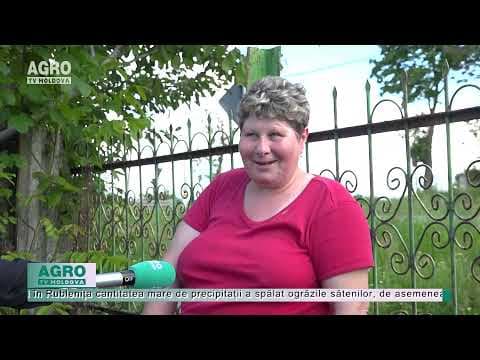 Ploile au făcut mai mult rău decât bine