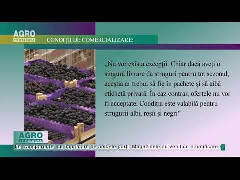 Cerințe mai aspre pentru strugurii exportați în Rusia