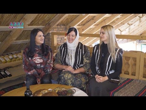 Agrodinastii: Satul și Oamenii. Gagauz-Sofrasi, Congaz