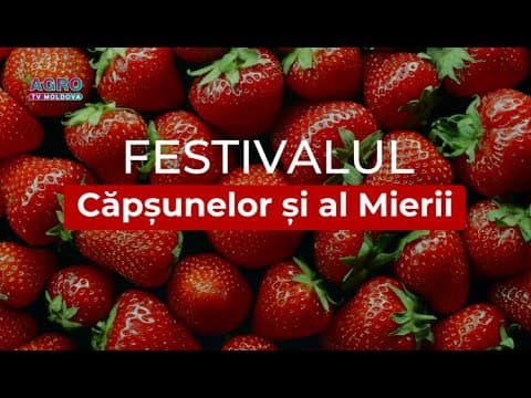 Festivalul Căpșunelor și al Mierii. Sărbătoare a gusturilor și tradițiilor locale