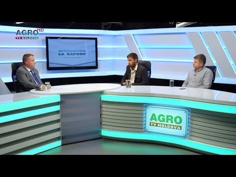 Toamna agricultorilor, între sprijinul așteptat de la stat și lucrările pentru noul an agricol