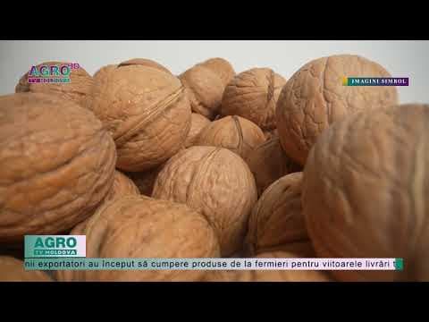 Piața nucilor… Care este situația la moment?