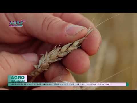 Noi măsuri de sprijin pentru fermieri în anul 2025