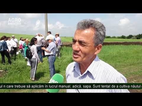 AGRO TV News - 06.06. 2019