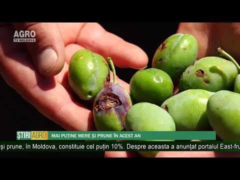 AGRO TV News - 05. 07. 2019