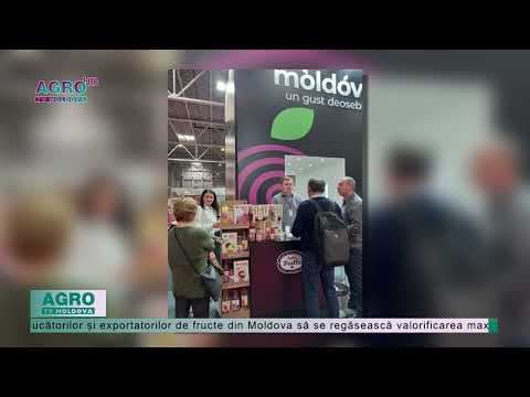 Producătorii moldoveni participă la Târgul Indagra Food, la București