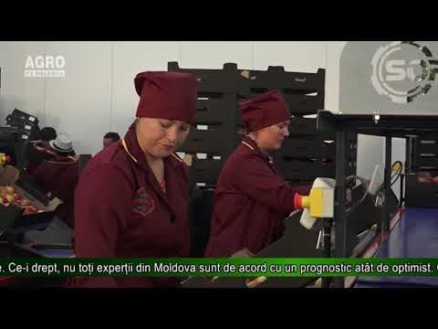 AGRO TV News - Retrospectiva Săptămânii 10 august 2019
