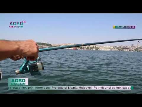 Bani pentru dezvoltarea domeniul piscicol
