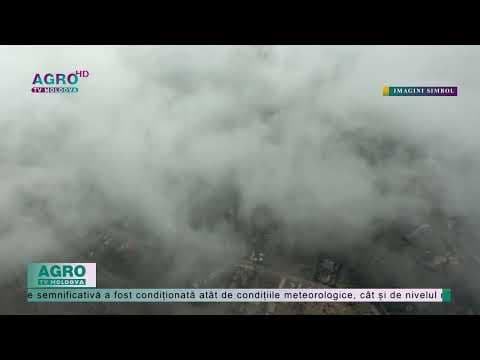 Alertă! Nivel înalt de poluare a aerului în Capitală