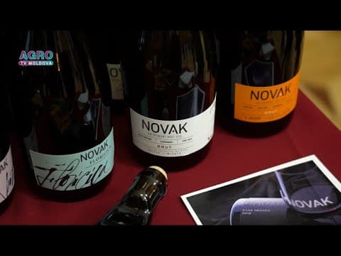 "Novak Winery" - reunind tradițiile și tehnologiile inovatoare