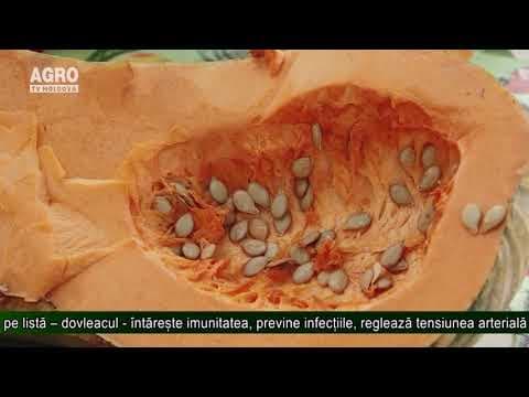 AGRO TV News - 23. 10. 2019
