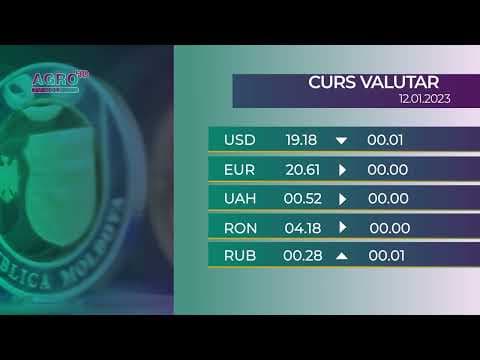 BNM: Cursul valutar pentru joi, 12 ianuarie