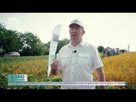 Cine este noul Ministru al Agriculturii și Industriei Alimentare?