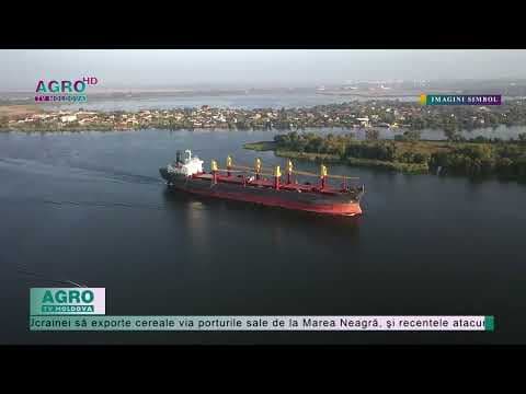 Exporturile de cereale ale Ucrainei au scăzut cu 51% în septembrie