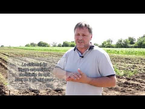Metodele moderne de irigare, asigura succesul