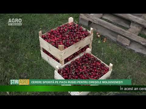 AGRO TV News - 02. 07. 2019