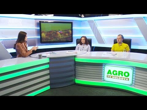 Actualitatea LA RAPORT - Au dispărut pădurile. Ce ne facem?