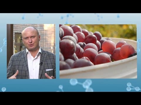 PROFU DE NUTRIȚIE – Mustul, care încă nu s-a făcut vin, e bun de băut. Dar nu pentru toți.