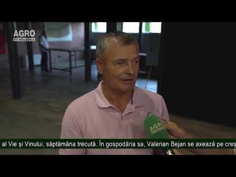 AGRO TV News - Retrospectiva Săptămânii 31 august 2019