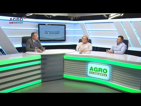 Sectorul pomușoarelor - o afacere în plin avânt