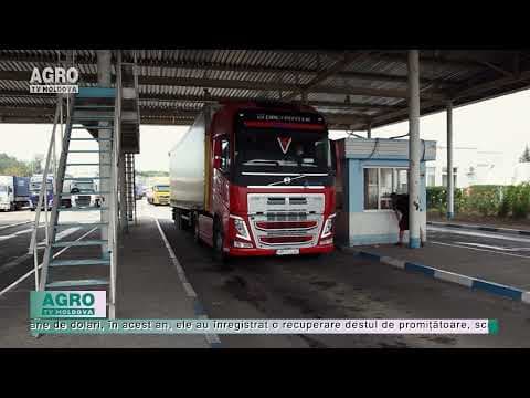 Exporturile moldovenești revin la nivelul de până la criză
