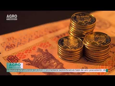 Economia țării se menține pe banii diasporei