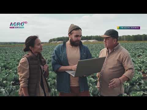 Peste 940 de ucraineni au fost angajați oficial la noi în țară