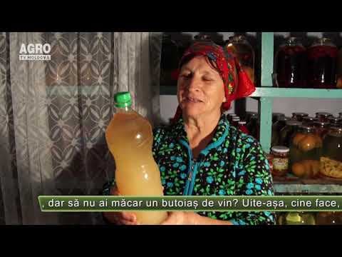 AGRO TV News - 12. 12. 2019