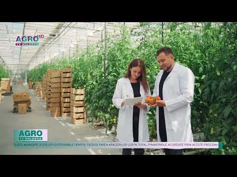 Peste 1170 de fermieri din Moldova, sprijiniți de ADMA prin programe de finanțare