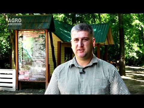 Rezervația naturală Pădurea Domnească