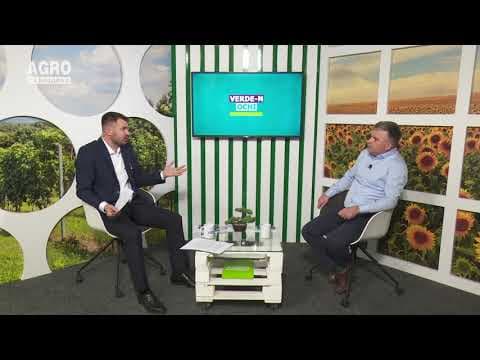 Verde-n ochi: CINE STABILEȘTE TAXA CU VALOARE ADĂUGATĂ (TVA) LA GĂINI?