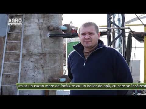 AGRO TV News - 07. 11. 2019