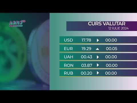 BNM: Curs valutar 12 iulie, 2024