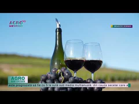 Vești bune din Franța. Producția de vin va fi mai mare cu 18%