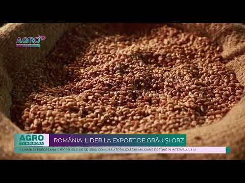 România este cel mai mare exportator de grâu și orz din Uniunea Europeană