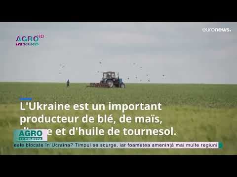 Blocarea exporturilor de cereale din Ucraina poate provoca foamete