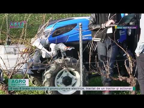 Start-up-ul israelian Robotic Perception a dezvoltat o nouă soluție de tăiere robotizată pentru livezi și podgorii