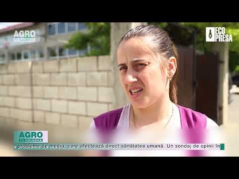 Ce știu oamenii despre poluare?
