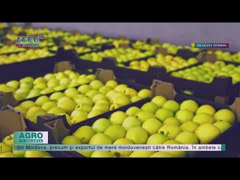 Volumul exporturilor de mere, dar și prețul este în scădere