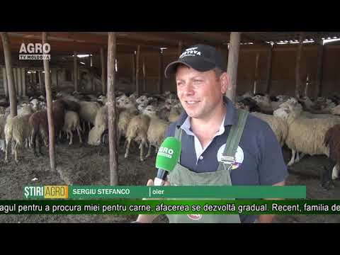AGRO TV News - 29. 05. 2019