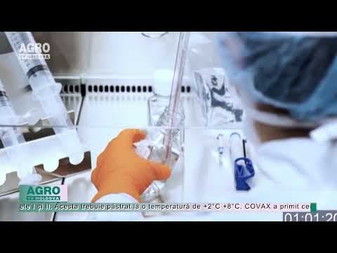 În februarie, ar putea începe vaccinarea anti-COVID